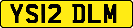YS12DLM