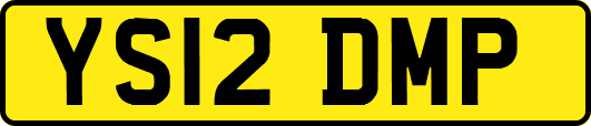 YS12DMP