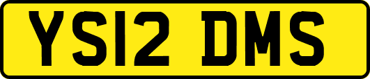YS12DMS