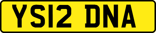 YS12DNA