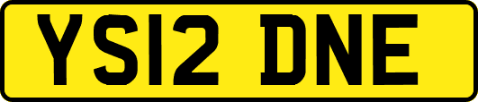 YS12DNE
