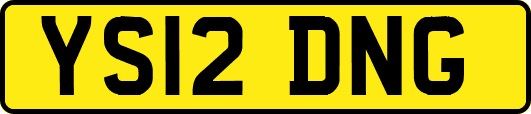 YS12DNG