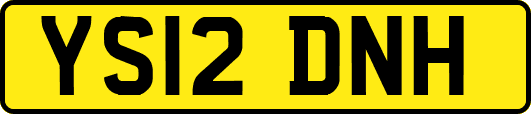 YS12DNH