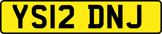 YS12DNJ