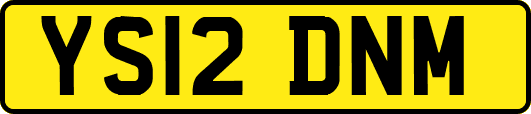YS12DNM