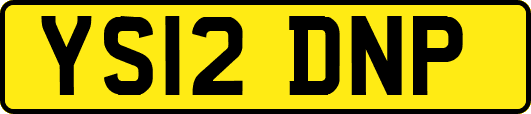 YS12DNP