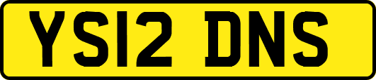 YS12DNS