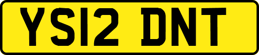 YS12DNT