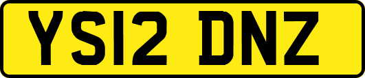 YS12DNZ