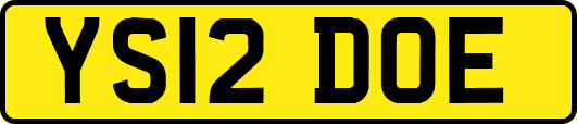 YS12DOE