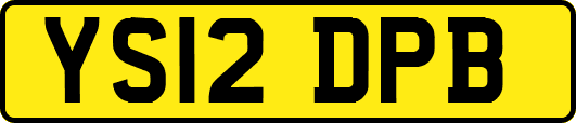 YS12DPB