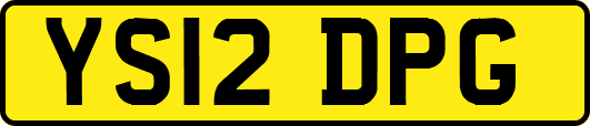 YS12DPG