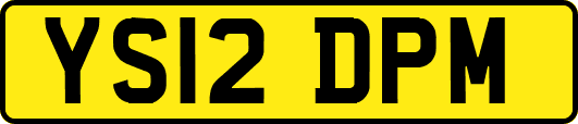 YS12DPM