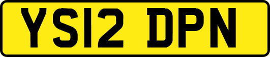 YS12DPN