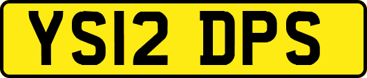 YS12DPS