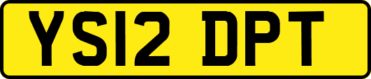YS12DPT