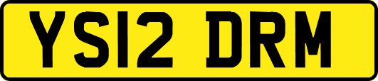 YS12DRM