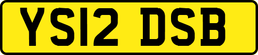 YS12DSB