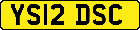 YS12DSC