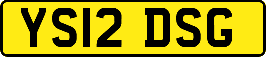 YS12DSG