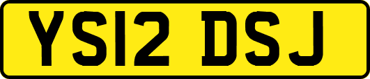 YS12DSJ
