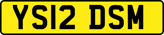 YS12DSM