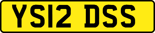 YS12DSS