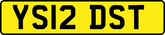 YS12DST