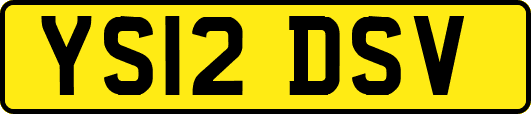 YS12DSV
