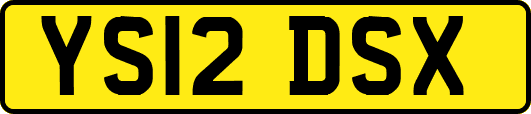 YS12DSX