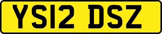 YS12DSZ