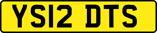 YS12DTS