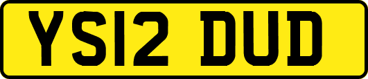 YS12DUD
