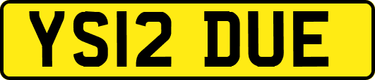 YS12DUE