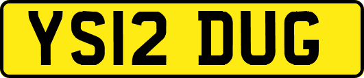 YS12DUG
