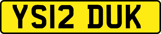 YS12DUK
