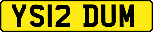 YS12DUM