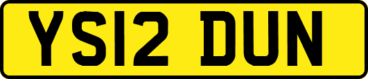 YS12DUN