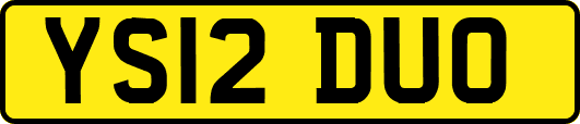 YS12DUO