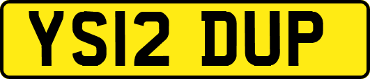 YS12DUP