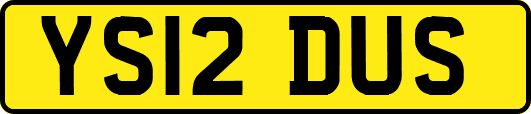 YS12DUS