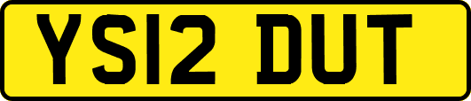 YS12DUT