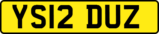 YS12DUZ