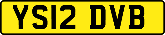 YS12DVB