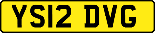 YS12DVG