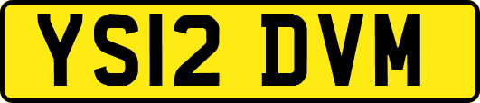 YS12DVM