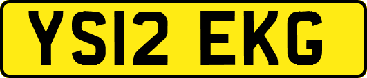 YS12EKG