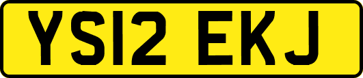 YS12EKJ