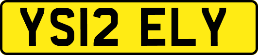 YS12ELY