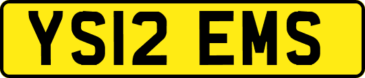 YS12EMS